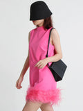Fongt Design Sense Solid Color A-Line Skirt 2024 Spring Round Collar Sleeveless Hem Ostrich Hair Decoration Loose Dress-Outfit