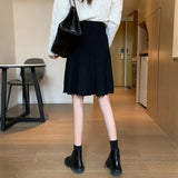 Knitted Pleated Long Mini Skirt-Outfit