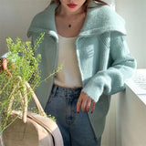 Fongt Lazy Wind Big Lapel Cardigan Zipper Jacket Women's Autumn And Winter New Wide Soft Waxy Sweater Top-Outfit