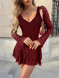 Lace Long Sleeve Hollow Out V-Neck Mini Dress-Outfit