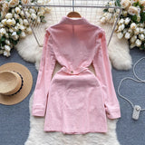 Denim Skirt Sweet Candy Temperament Shirt Collar Button Slim Design Fake Two Dresses For Women-Outfit