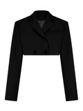 Cropped Blazer And Pleated Mini Skirt Set-Outfit