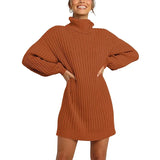 Fongt And Winter New Women's Turtleneck Medium Long Sweater Sweater