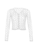 Sheer Lace Long Sleeve Crop Blouse-Outfit