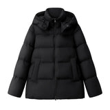 2024 Autumn And Winter New Jiangnan Female Simple Loose Hooded Down Jacket 90 White Duck Down Warm Bread Clothing Coat Tide-Outfit