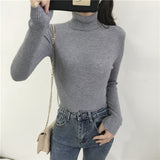 Autumn New Slim Long Sleeve Jumper Women Turtleneck Knitted Pullover Winter Sweater Women Soft Warm Sweater Pull Femme