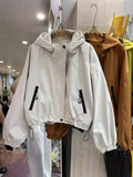 This Year's Popular Storm Jacket Female 2024 Spring And Autumn New Small Casual Style Jacket-Outfit
