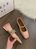 Fongt Temperament Square Head Mary Jane Single Shoes Women's Shoes 2023 New Summer Retro With Skirt Pink Spring And Autumn Evening Shoes-Outfit