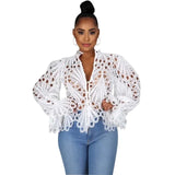 Long Sleeve Hollow Out Mesh Lace Sheer See Through