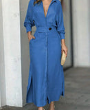 Fongt Women's Blue Dress Temperament Elegant Spring And Summer Commuting Long Sleeve Dress Hot Style-Outfit