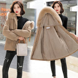 Winter 2023 New Women's Down Padded Clothes Cotton Clothes Women's Winter-Outfit