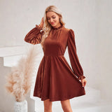 Fongt 2024 Winter New Women's Casual High Collar Velvet Solid Color Waist Dress-Outfit