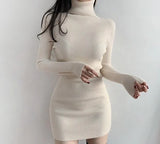 High Neck Long Sleeve Hip Dress-Outfit