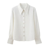 Fongt Small Pointed Collar Satin Gloss Commuter Professional White Shirt Female Design Sense Niche 2023 Autumn Wear-Outfit