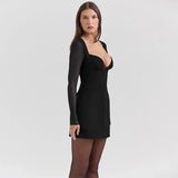 Long Sleeve Plunge Neck Mini Dress-Outfit
