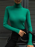 High Collar Bottom Shirt 2024 Autumn And Winter New Temperament Elegant Slim Warm Long Sleeve Inside The Sweater-Outfit