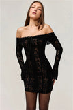 Lace Long Sleeve Off-shoulder Dress-Outfit