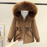 Add Velvet 2024 Winter New Style To Overcome Versatile Cotton-Padded Jacket Korean Version Short Cotton Jacket Loose Jacket Cotton-Padded Jacket-Outfit