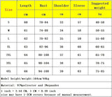 Autumn Winter Double-Layer Mesh T-shirt Female Printing Positioning Flower Long Sleeved Round Neck Slim Top FF0923-Outfit