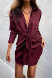Long Sleeve V-Neck Turn Down Collor New