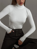 High Collar Bottom Shirt 2024 Autumn And Winter New Temperament Elegant Slim Warm Long Sleeve Inside The Sweater-Outfit