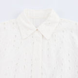 New Hollowed-Out Embroidery With Belt Short Dress 4877010-Outfit