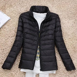 Spring And Autumn Winter Light Down Jacket Female Pure Color Standing Collar Slim Plus Large Size Short Coat Tide Direct Sales-Outfit