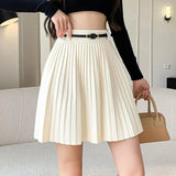 Pleated High Waist Belted Mini Skirt-Outfit