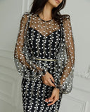 New Lady Embroidery Perspective Net纱