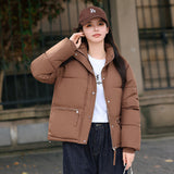 New Style Down Cotton Jacket Women's Winter Jacket-Outfit
