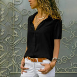 Long Sleeve Solid V-Neck Chiffon