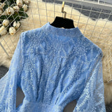 Fongt Retro Elegant Dress Woman 2025 New High-End Collar Single Buckle Waist Embroidery Mesh Dress