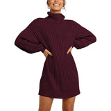 Fongt And Winter New Women's Turtleneck Medium Long Sweater Sweater