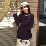 Fongt Xixi 13 Lines 2025 Spring New Ins Temperament Elegant Round-Neck Wool Knit Sweater Sweater Female 25152