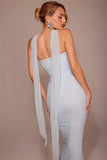 Corset And Bodycon Maxi Skirt With Neckerchief Set-Outfit