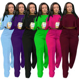 Back Long Fashion Pleated Blouse And Pants Solid Color Wide Leg Two-piece