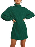 Fongt And Winter New Women's Turtleneck Medium Long Sweater Sweater
