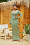 Sexy Long Polyester Spandex Dress Fashion Sleeve