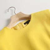 New Solid Color Sleeveless Dress In The Autumn Of 2023-Outfit