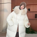 Advanced Sense Raccoon Big Hair Collar Down Jacket Female Long Style 2024 Winter Fashion Over The Knee Large Version Of Loose Cover Meat Coat-Outfit