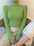 High Neck Jumper Knit Top-Outfit