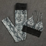 Sexy Gym Tracksuit Women Leopard Printed Skinny Fitness Two Piece Set Outfits Running Training Workout
