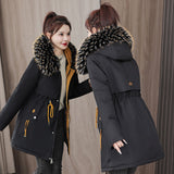2024 Winter Down Cotton Jacket Women's Long Coat Ins Cotton-Padded Jacket Big Wool Collar Collect Waist Tooling Plus Velvet Pie To Overcome-Outfit