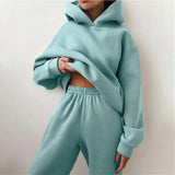 Women's Tracksuit Autumn Fleece Sweatshirts Two Piece Set Casual Oversized Solid Female Sports Hoodie Suit Long Pant