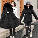 Winter 2023 New Women's Down Padded Clothes Cotton Clothes Women's Winter-Outfit