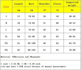 S-3XL Autumn Spring Soft Modal T-shirt Girls O-neck Full Sleeve Basic Tops Lady Solid Color Tees Classic Clothing For Women-Outfit