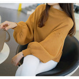 Thick Solid Color Half high Collar