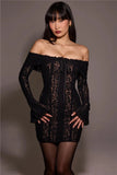 Lace Long Sleeve Off-shoulder Dress-Outfit