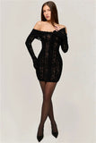 Lace Long Sleeve Off-shoulder Dress-Outfit