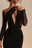 Mesh Long Sleeve Bodycon Deep Neck Maxi Dress-Outfit